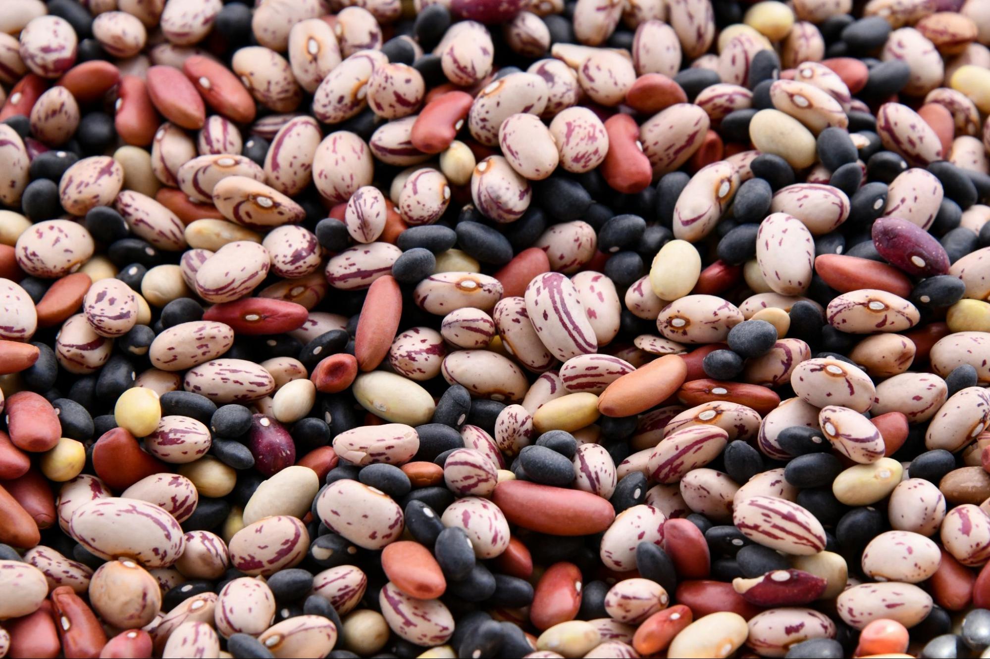 learn and know about digestive health
