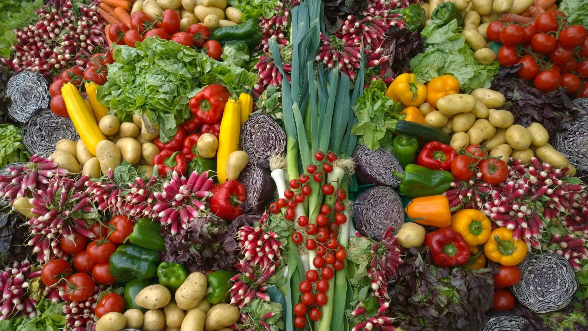 learn and know about digestive health