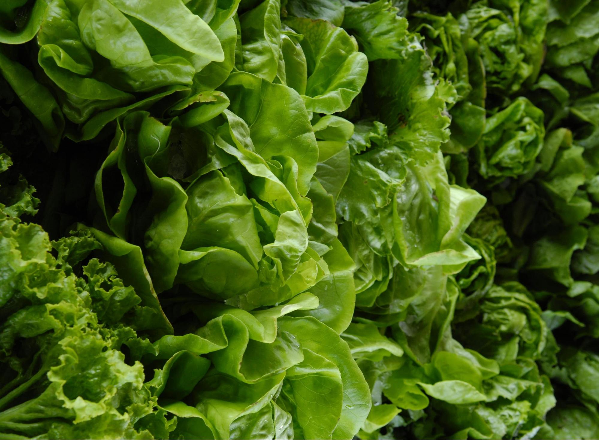know and learn about foods that reduces anxiety